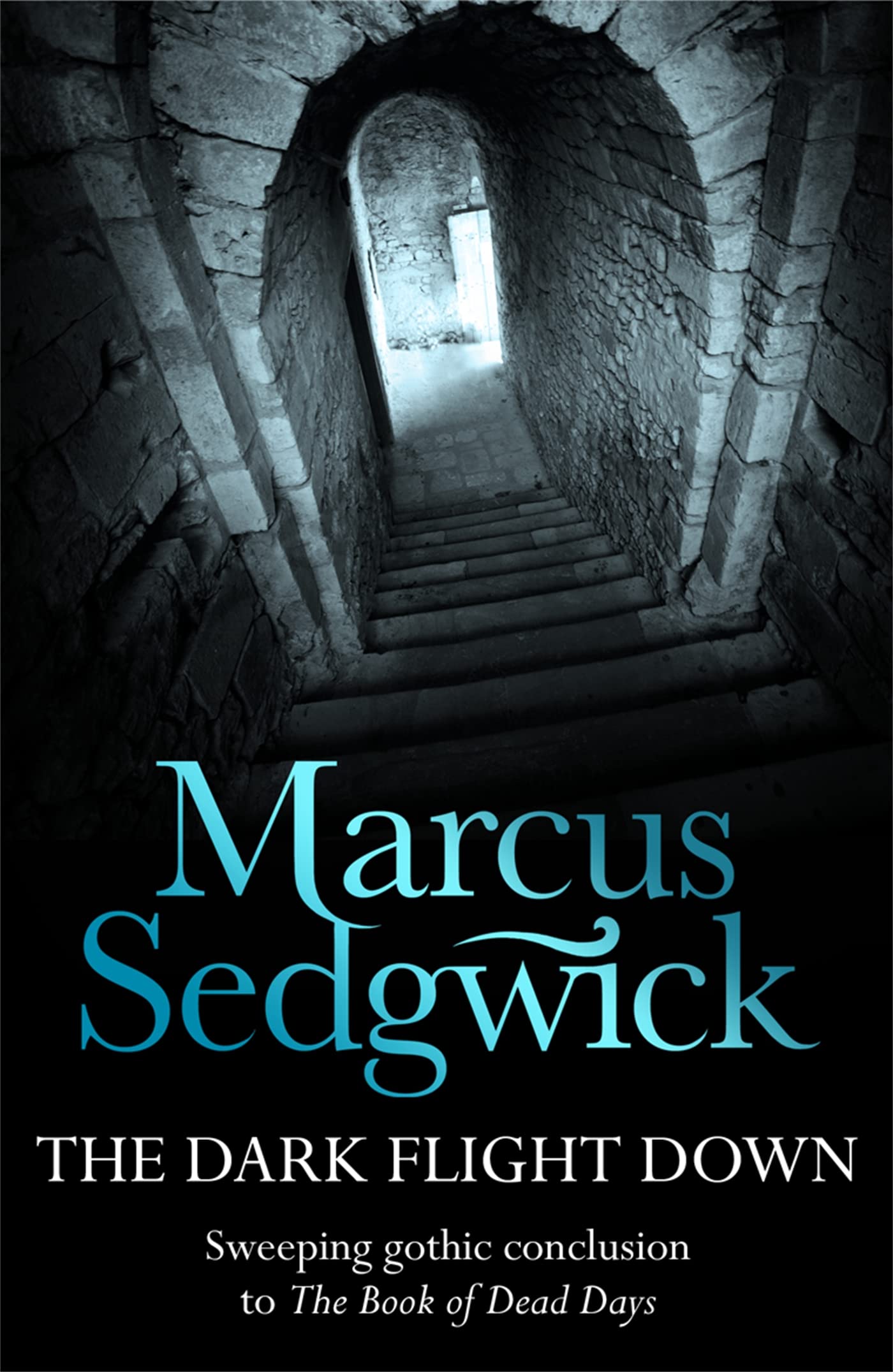 The Dark Flight Down (The Book of Dead Days - book 2)