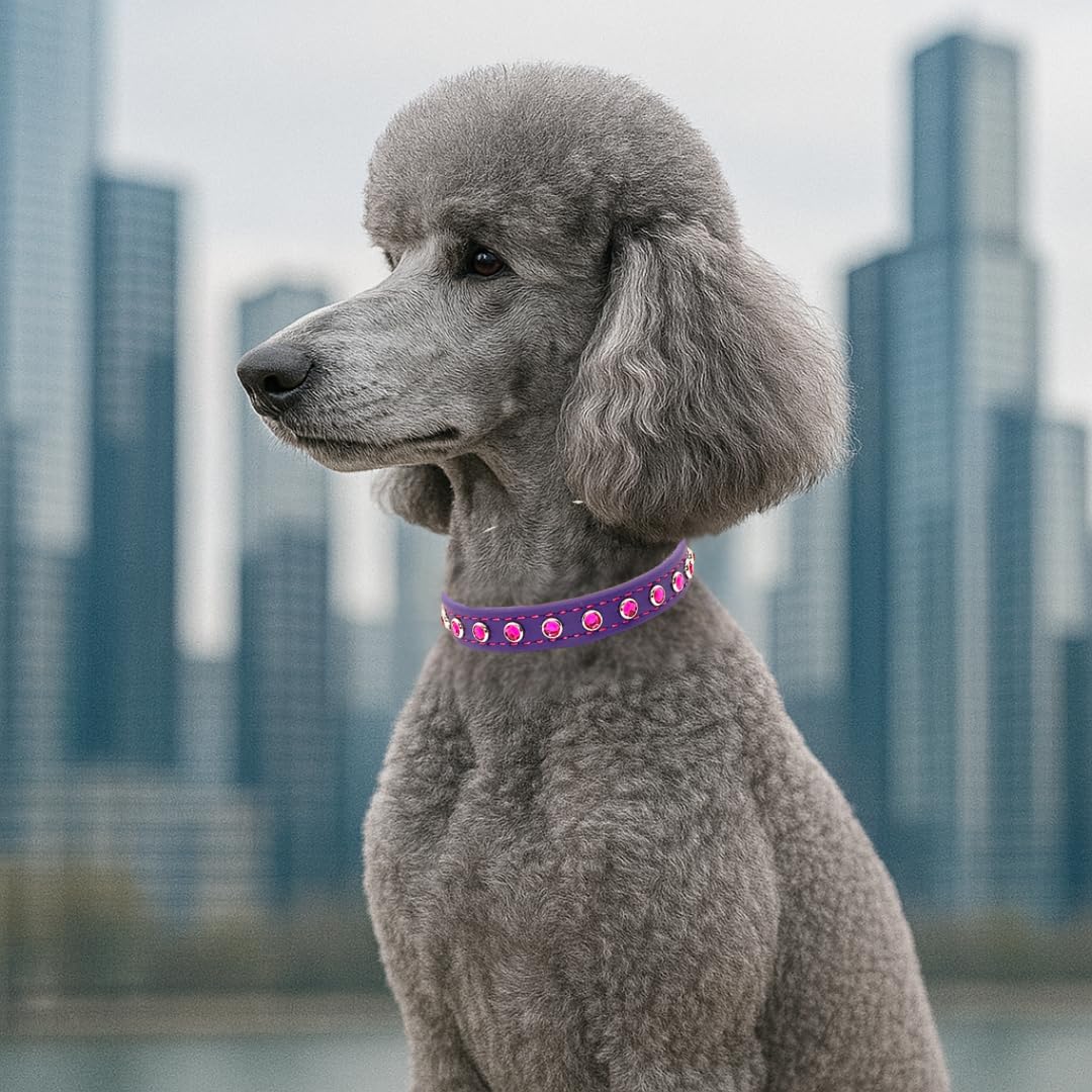 BioThane® Bling Hundehalsband – verstellbares Designer-Halsband mit Strassbesatz, wasserdicht und geruchsabweisend, Königsviolett mit pinken Schmucksteinen, Größe L (passend für Halsgrößen 40,6 cm
