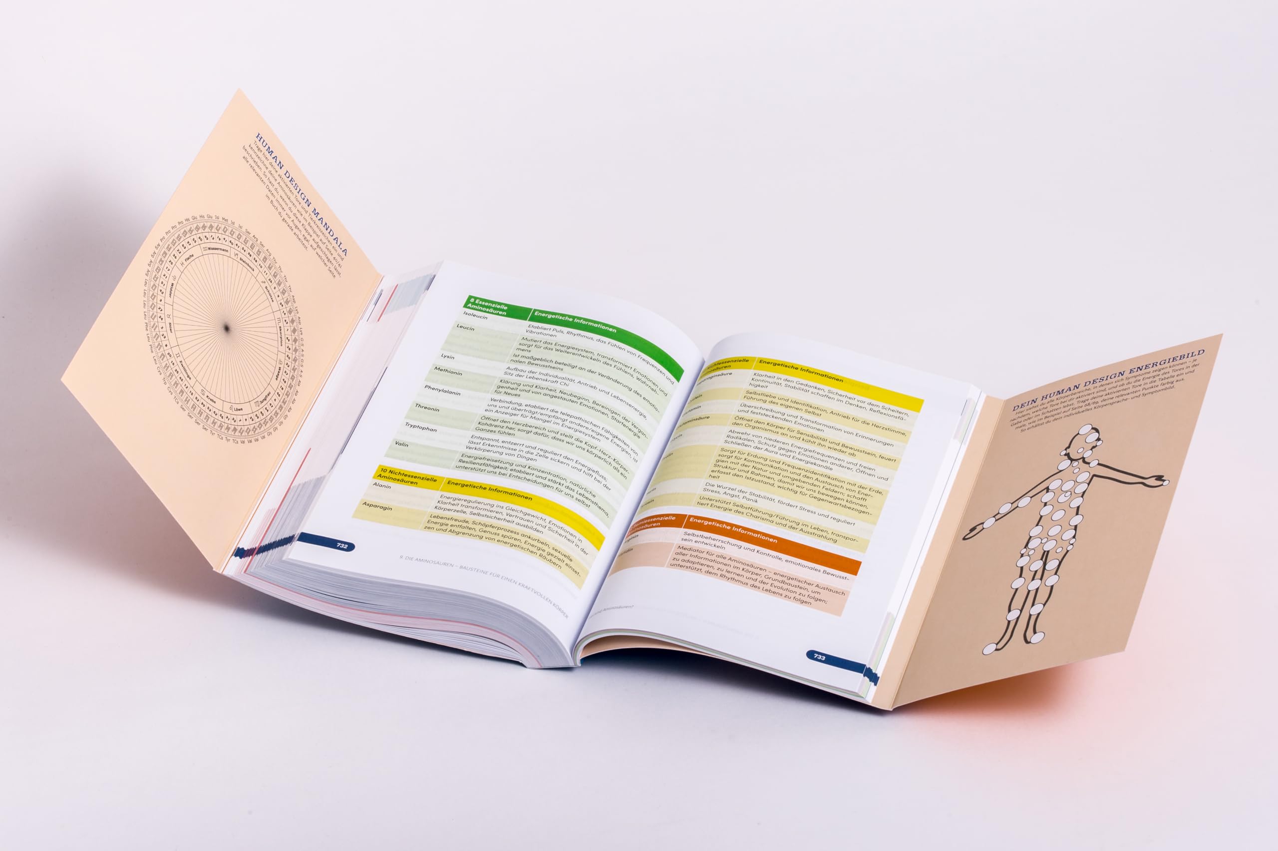 Der Human Design Gesundheitskompass: Das große Kompendium