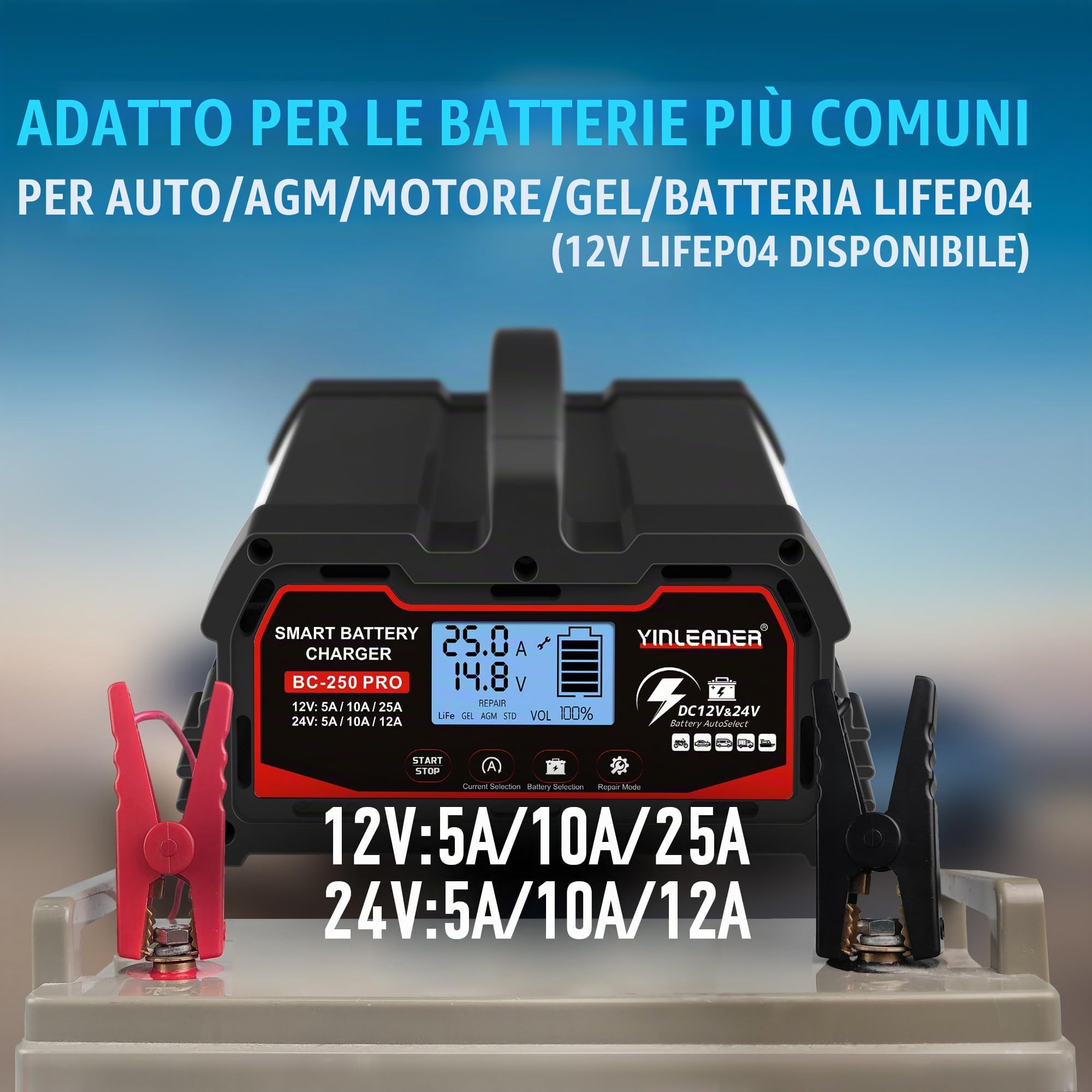 Caricabatteria da auto 25 A 12 V/24 V 12 A /10A/5A Caricabatteria da auto Smart Charger per auto completamente automatico con display LCD, per batteria per auto e moto e 12V LiFePO4 - nero