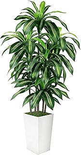 5FT Artificial Dracaena Tree with Planter