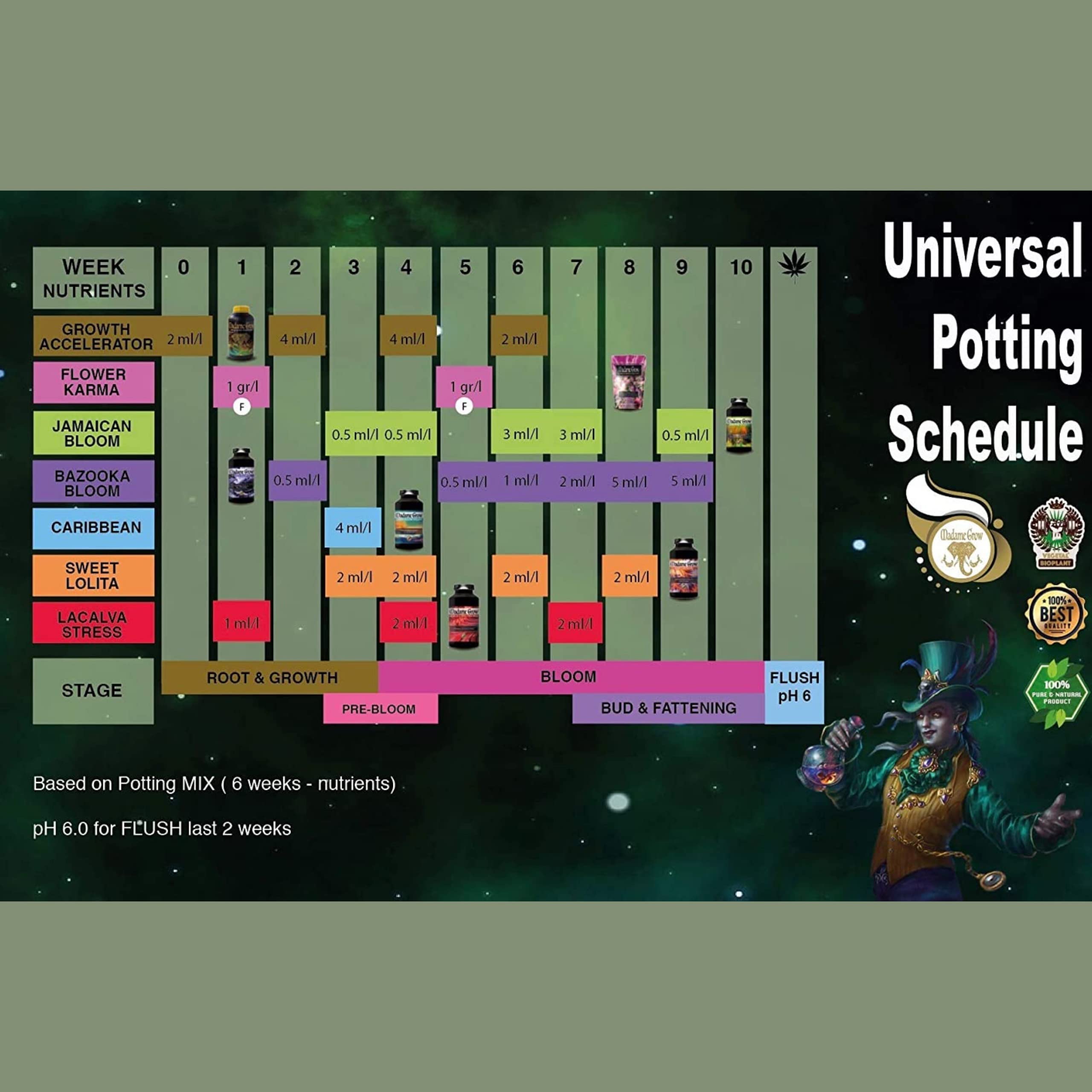 Fertilizzante Organico Madame Grow - Acceleratore Crescita Piante 100% Naturale, 1 Litro - Foto 7