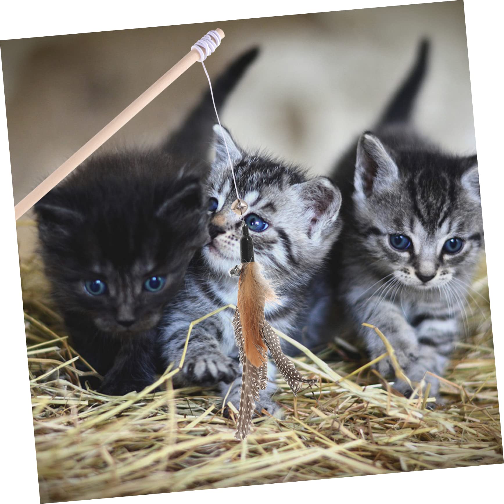 minkissy Lot De 4 Bâtons De Rechange pour Chat Jouets Interactifs pour Chat 8 Pièces X 4