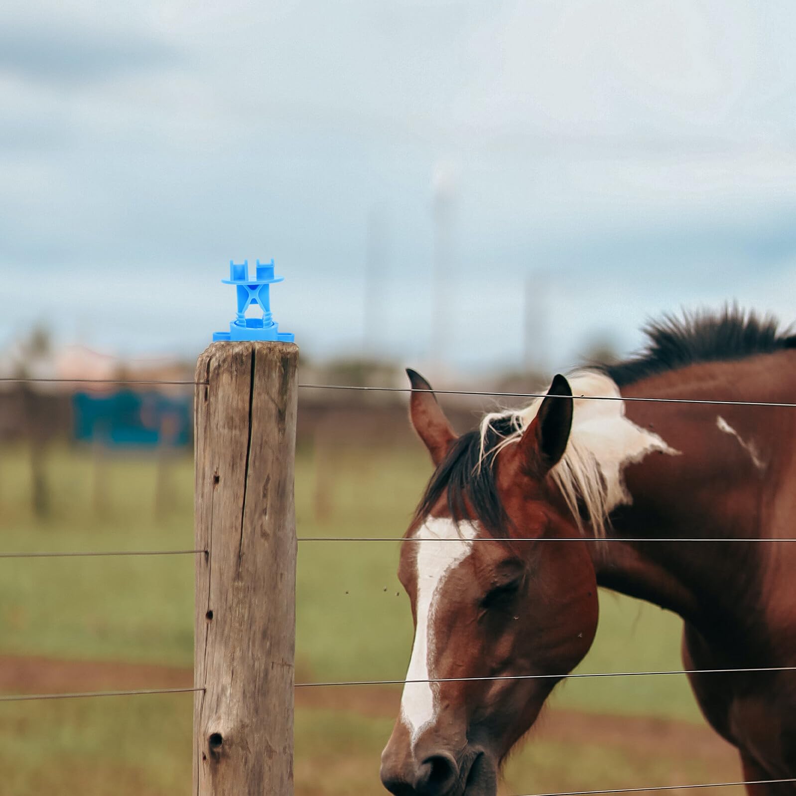 50 Pezzi Isolatori per Filo di Recinzione Elettrica in PP Durevole Accessori per Pali di Recinzione Agricola Isolamento Sicuro per Recinzioni Animali e Sistemi di Allarme ad