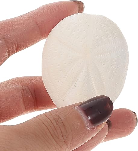 Miniatura 9 de DOITOOL Paquete de 6 conchas naturales para erizos de mar, conchas de erizo de mar para manualidades y decoración del hogar, fiesta temática de mar,