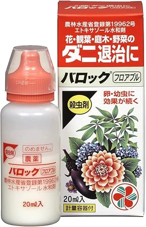 バロックフロアブル