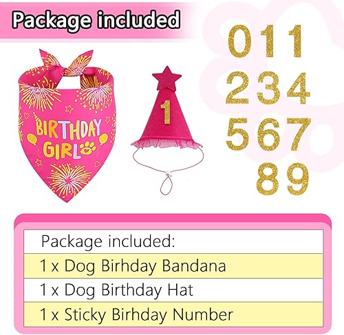 Dog Birthday Decorations Rose Pink, Dog Birthday Party Supplies with Hat Bandana Numbers for Large Medium Girl Pets Puppy(rose pink-set,X-Large)