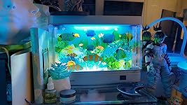 Review Image by ghostea ghostea