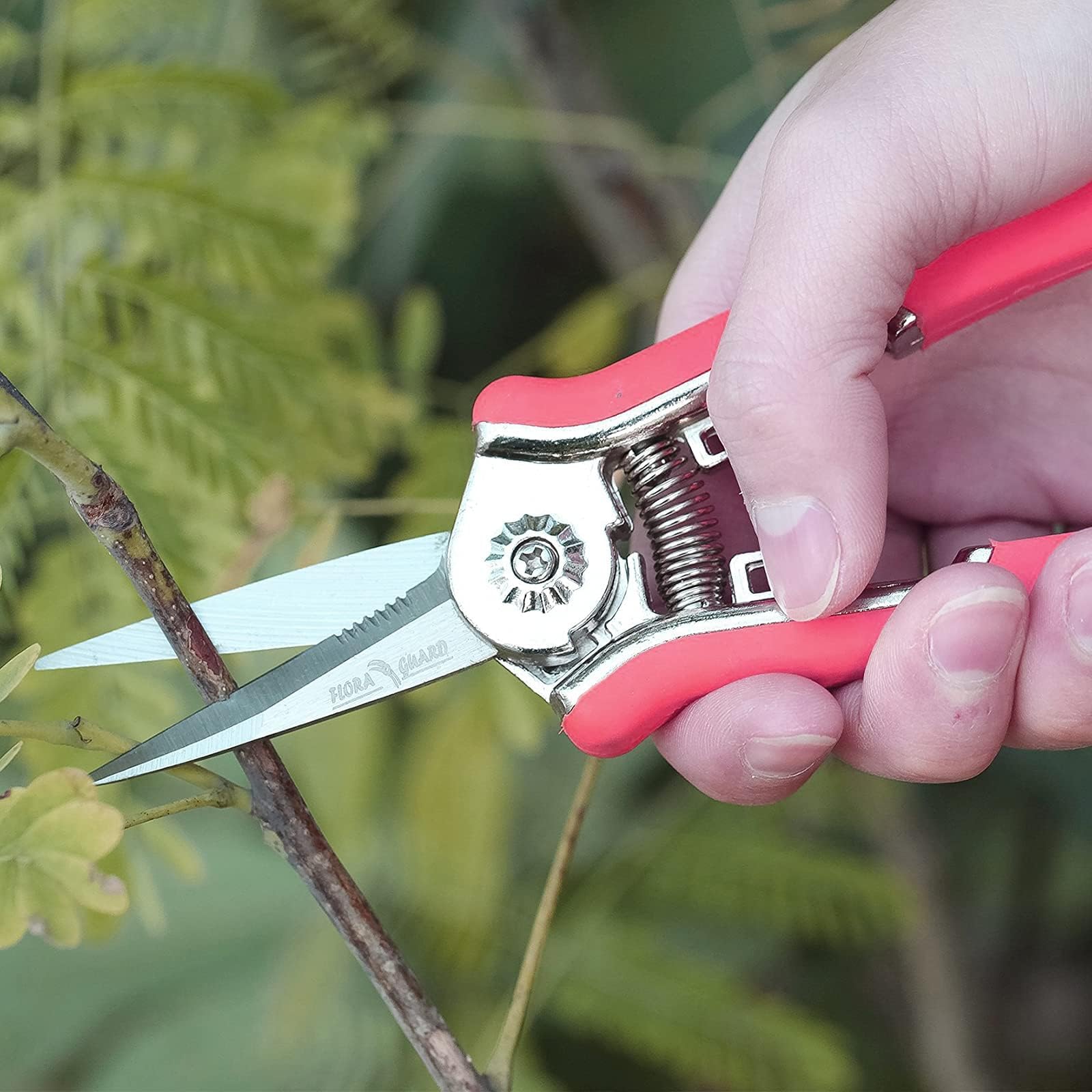 FLORA GUARD 6.5 Inch Micro-Tip Pruning snip Gardening Hand Pruning