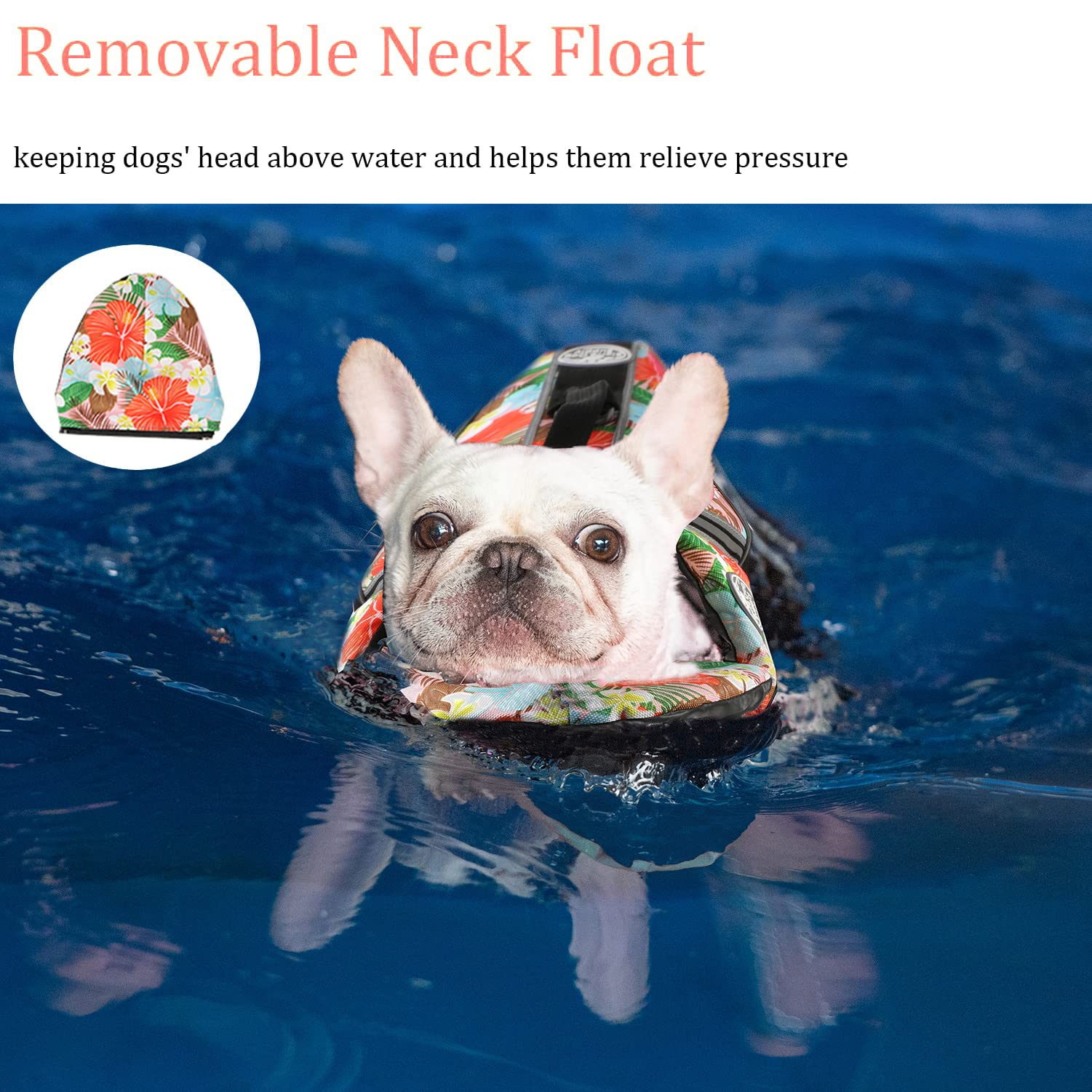 Flotation Vest Best Life Vest For French Bulldog Dog Life Jacket