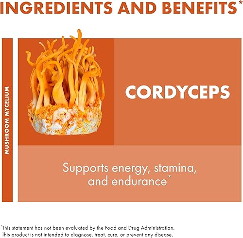 Miniatura 6 de Host Defense Cordyceps Powder - Suplemento de apoyo inmunológico y energético - Suplemento de salud renal con hongos Cordyceps - Suplemento de apoyo