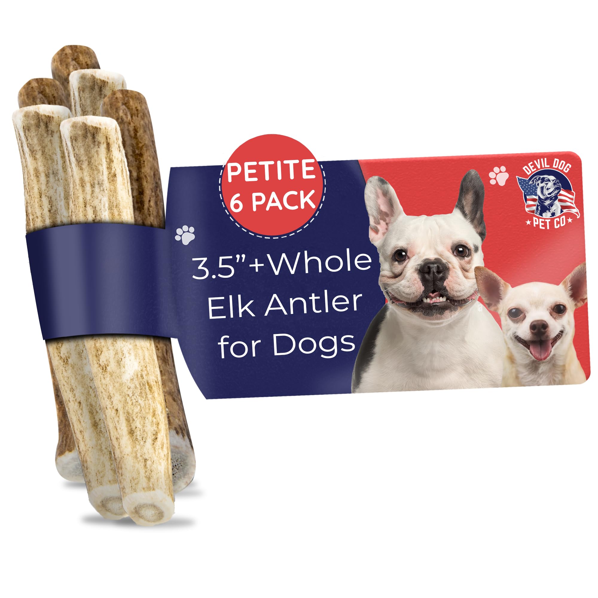 Devil Dog Pet Co. Elk Antlers for Dogs, Petite 3.5"+, 6 Pack, Grade A Long Lasting Chew for Aggressive Chewers, Premium USA Naturally Shed Antler –