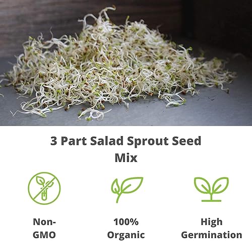 Miniatura 7 de Semilla de brote de alfalfa orgánico certificado marca Handy Pantrysemillas de alta germinación comestibles - jardinería cultivos hidropónicos