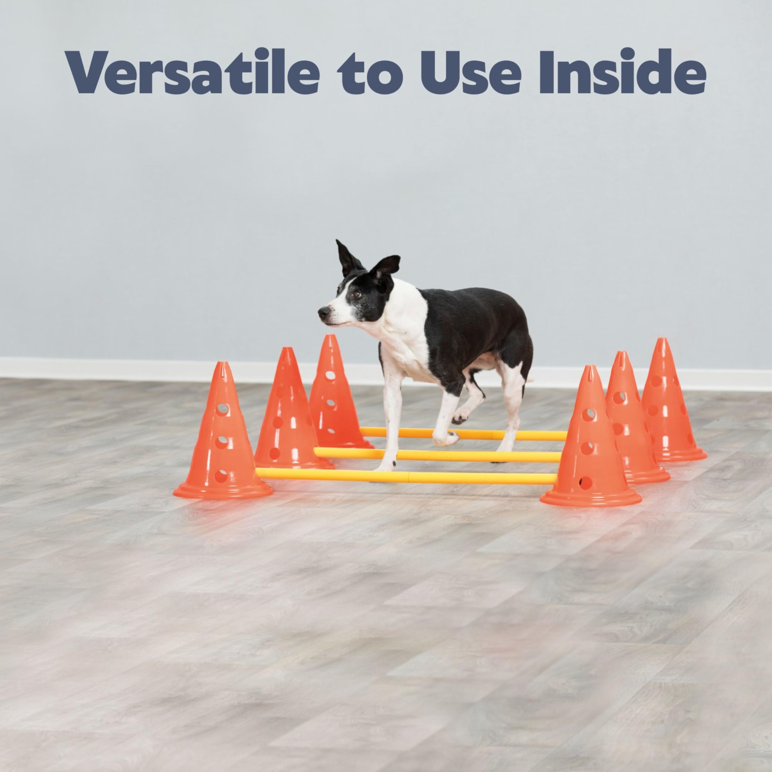 TRIXIE Lot de 3 Activités Obstacle O 23 x 30 cm 78 cm Orange et Jaune pour Chien