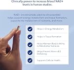 NAD Supplement 120 Capsules, 60 Servings, 300mg Per Serving, Clinically Proven to Increase NAD+, Patented Nicotinamide Riboside Vitamin B3, Cellular Health & Energy Metabolism, Health Canada Licenced