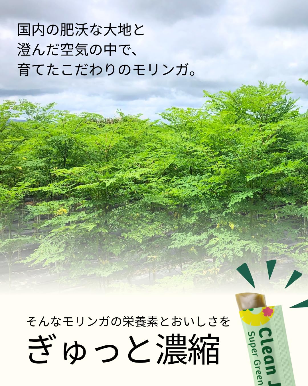 Amazon.co.jp: 【公式】GENiS (ジェニス) クリーンゼリー モリンガ配合