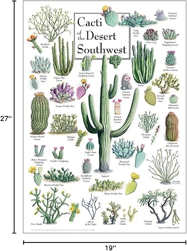 Miniatura 3 de Earth Sky + Water - Póster de cactus del desierto del suroeste