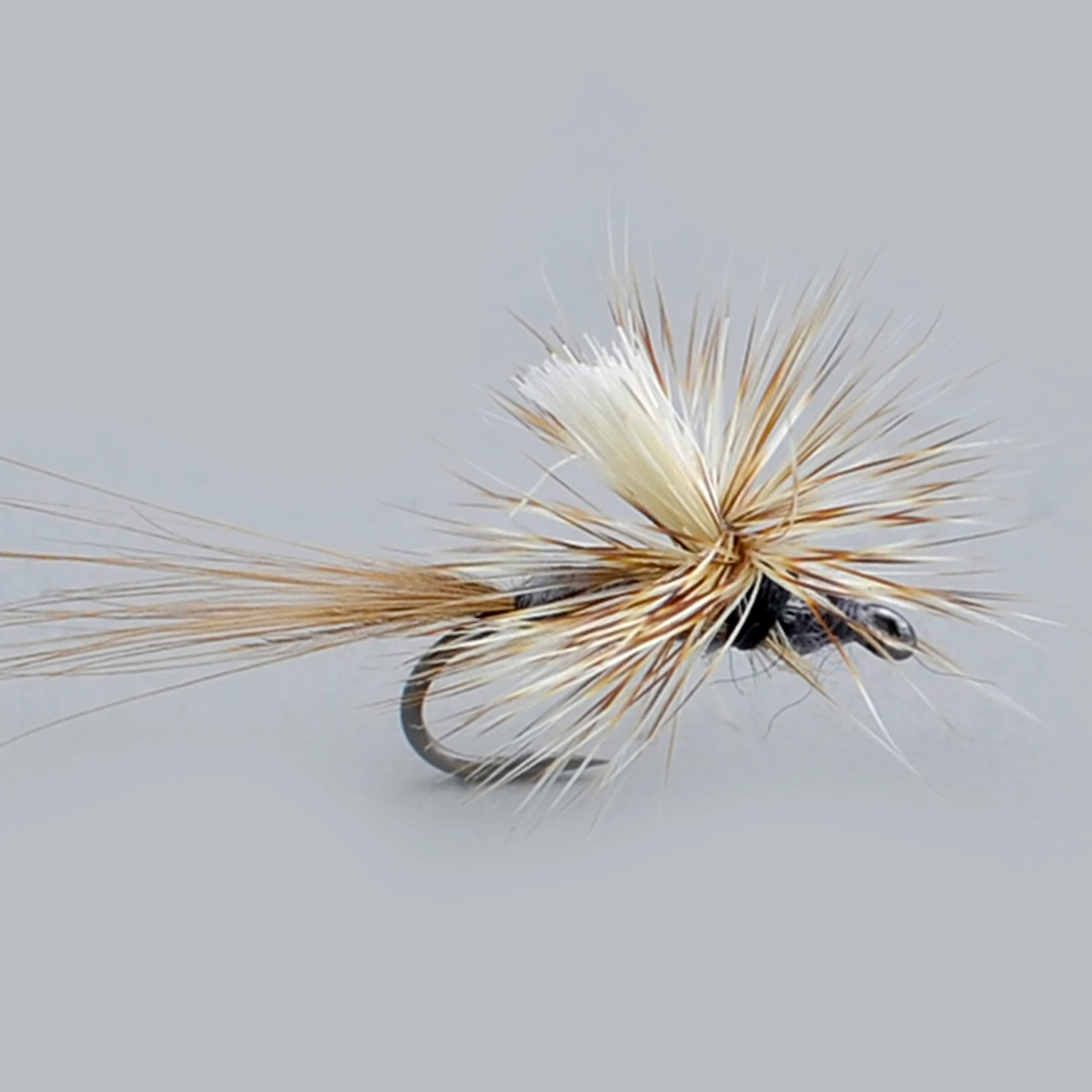 Fliegenfischen Trockenfliegen/EIN Dutzend/Caddis Parachute/DORATO Hasenohr/ELK Hari/GRIFFITH'S GNAT/HEMMINGWAY/Parachute Adams/Royal Coachman/PEG's Midge (Vier Sorten)