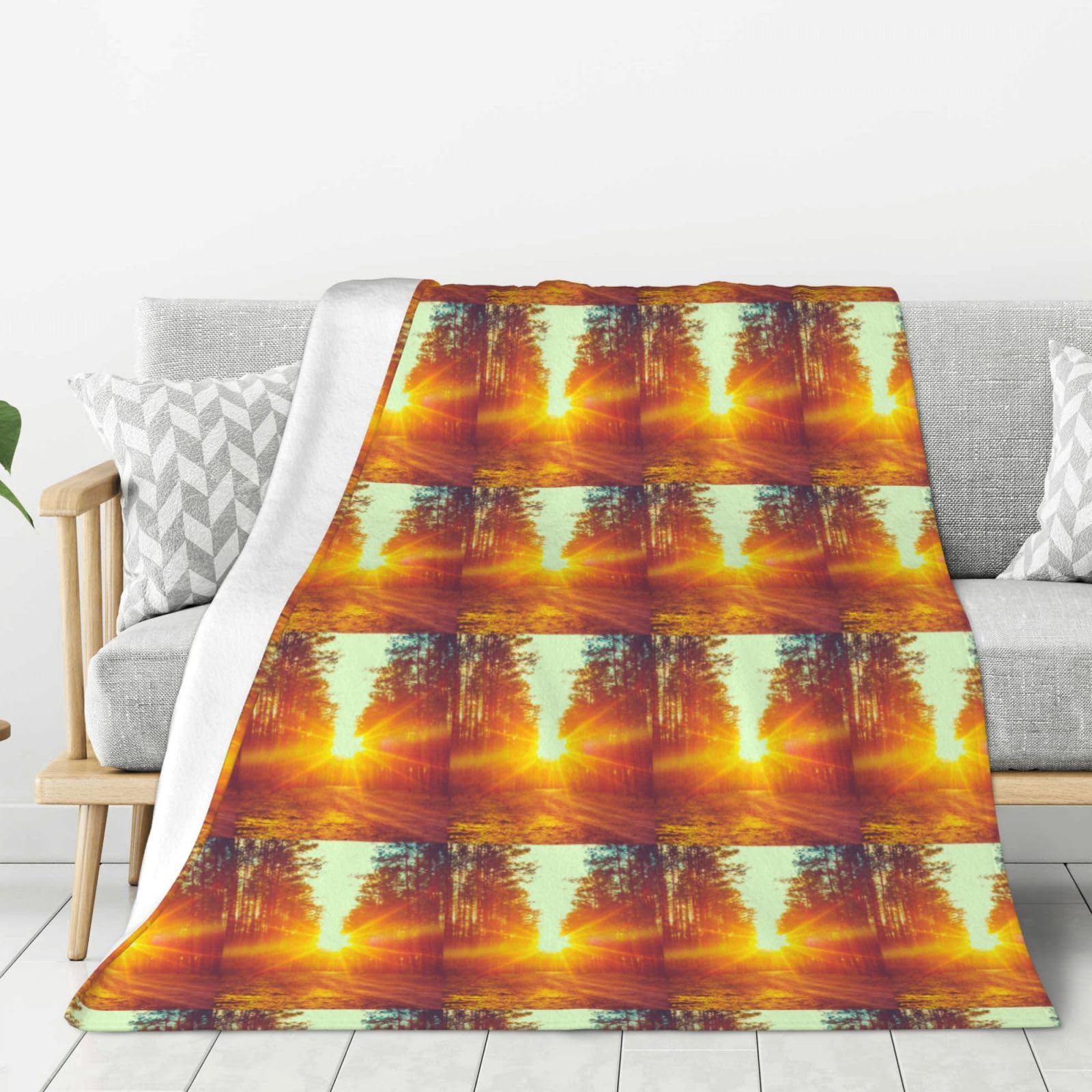Throw Blanket Super Soft Flannel Throw Blanket Lightweight Plush Fuzzy Bed Blanket Forest Road Under Sun Sunbeams Lane,as shown,60inx50in