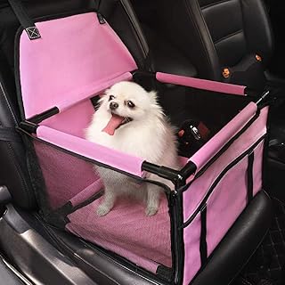 pomeranian essentials