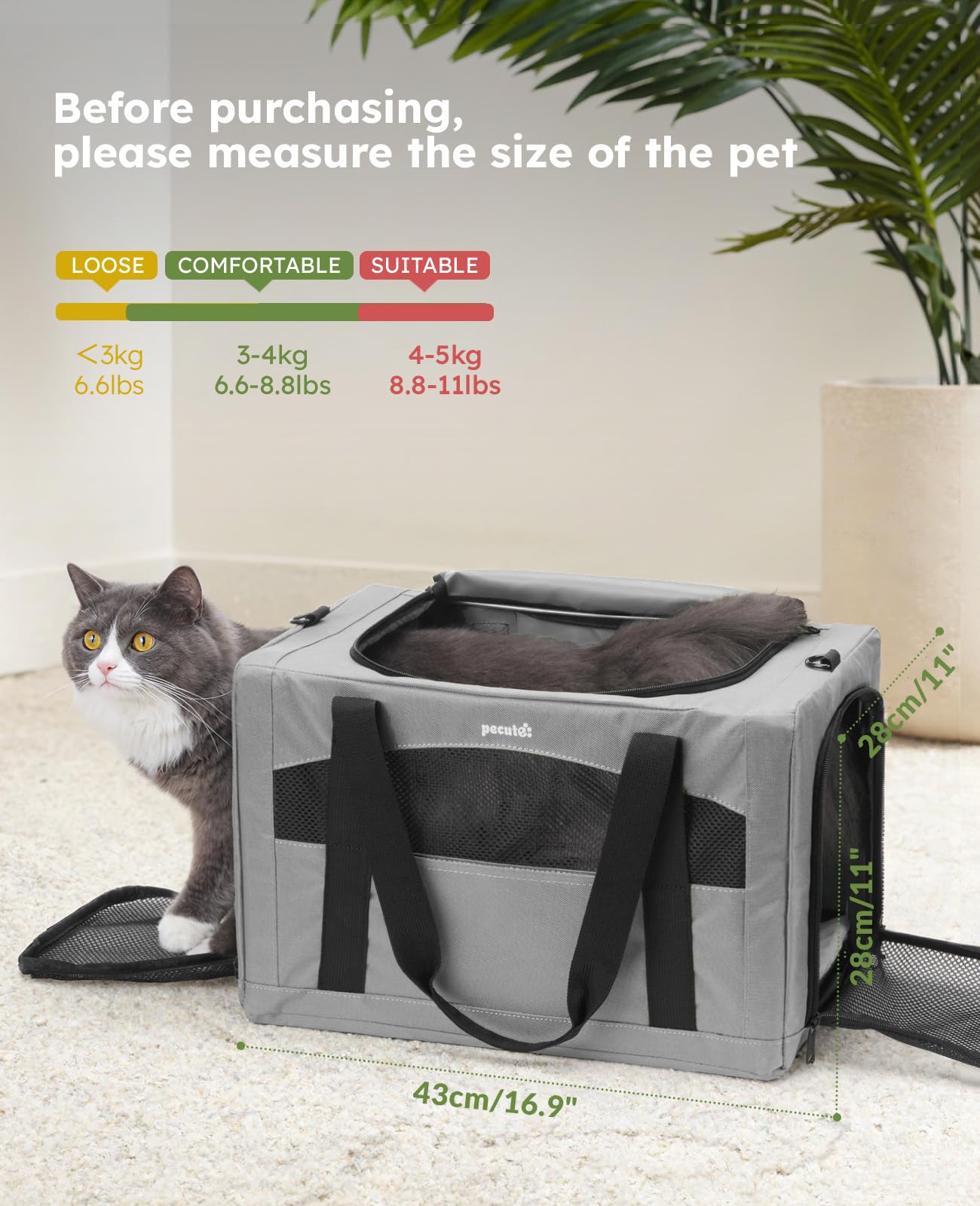 pecute Katzentransportbox Faltbar Stabiler Halt Haustier Tragetasche, Transportbox Katze Leicht, Faltbar Katzen Tasche für Katzen und kleine Hunde, ideal für Reisen, Grau