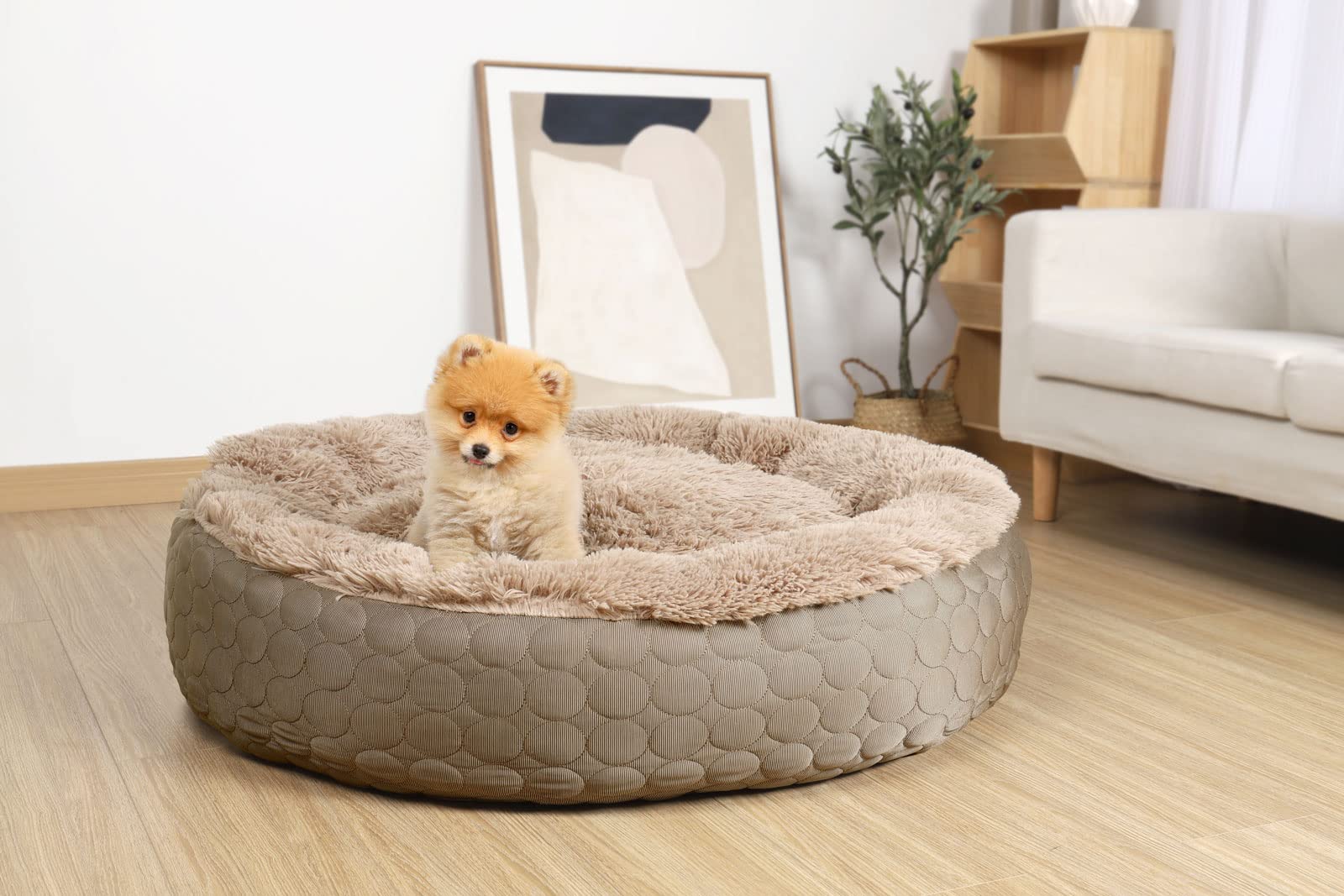 HACHIKITTY Hunde-Donut-Bett, beruhigendes Donut-Bett, rund, flauschiges  Hundebett, mittelgroe und groe Hunde, khlend, wrmend, Donut-Bett mit  warmen und khlen Seiten (gro, taupe) : Amazon.de: Haustier