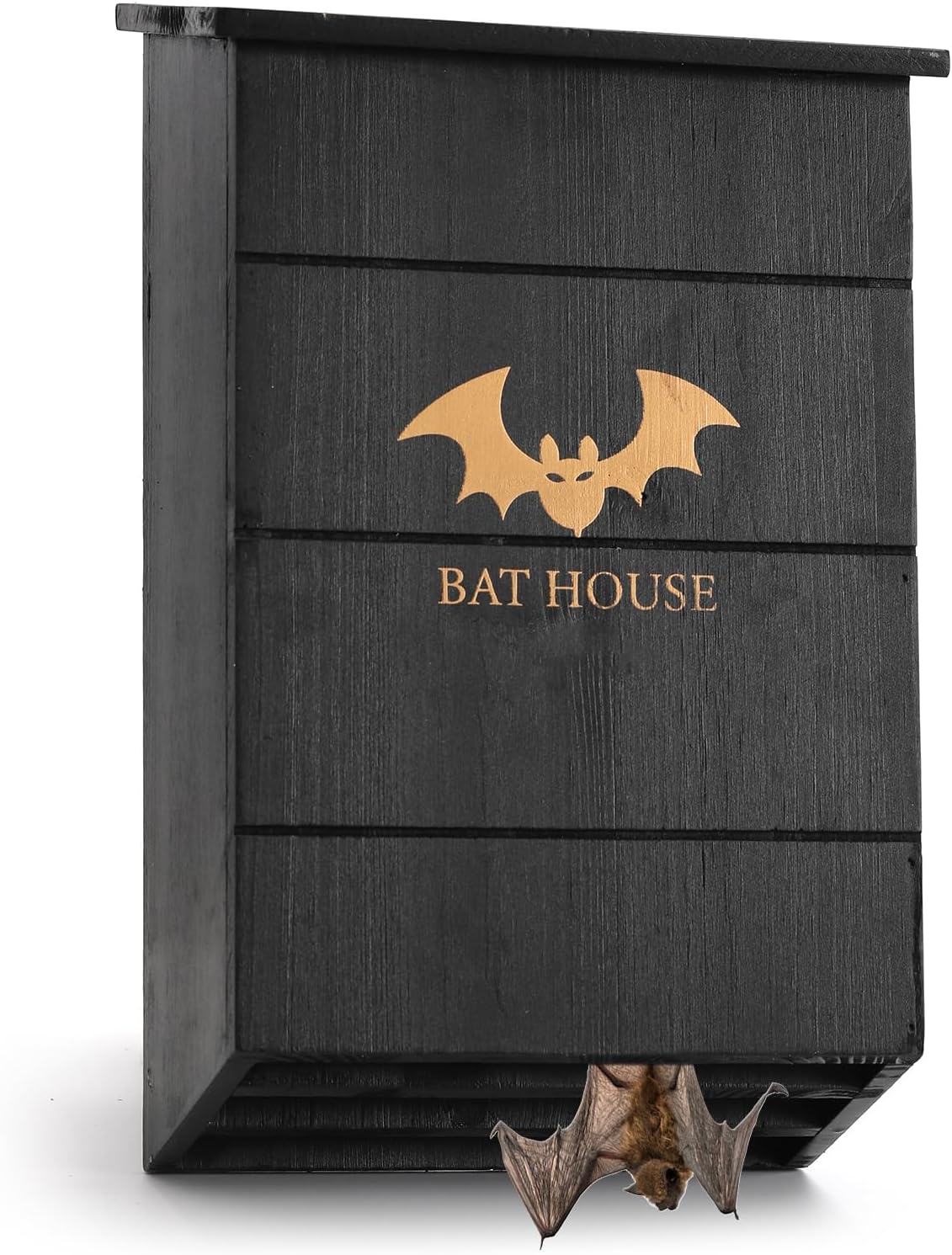Amazon.com: Bat House for Outdoors Large Three-Room Box Perfectly