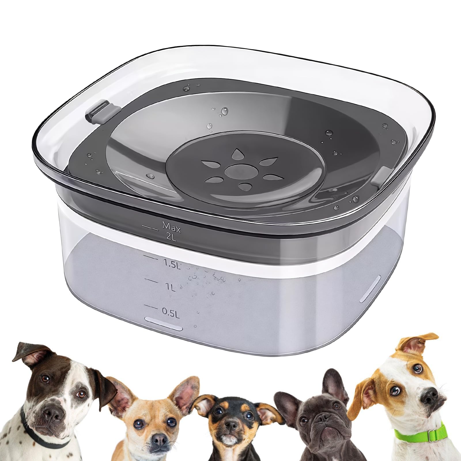 Gamelle d'eau sans renversement pour chiens : LEKEFETO 2L sans bavure, gamelle d'eau pour chien, chats et animaux domestiques, anti-fuite et antidérapante, transparente