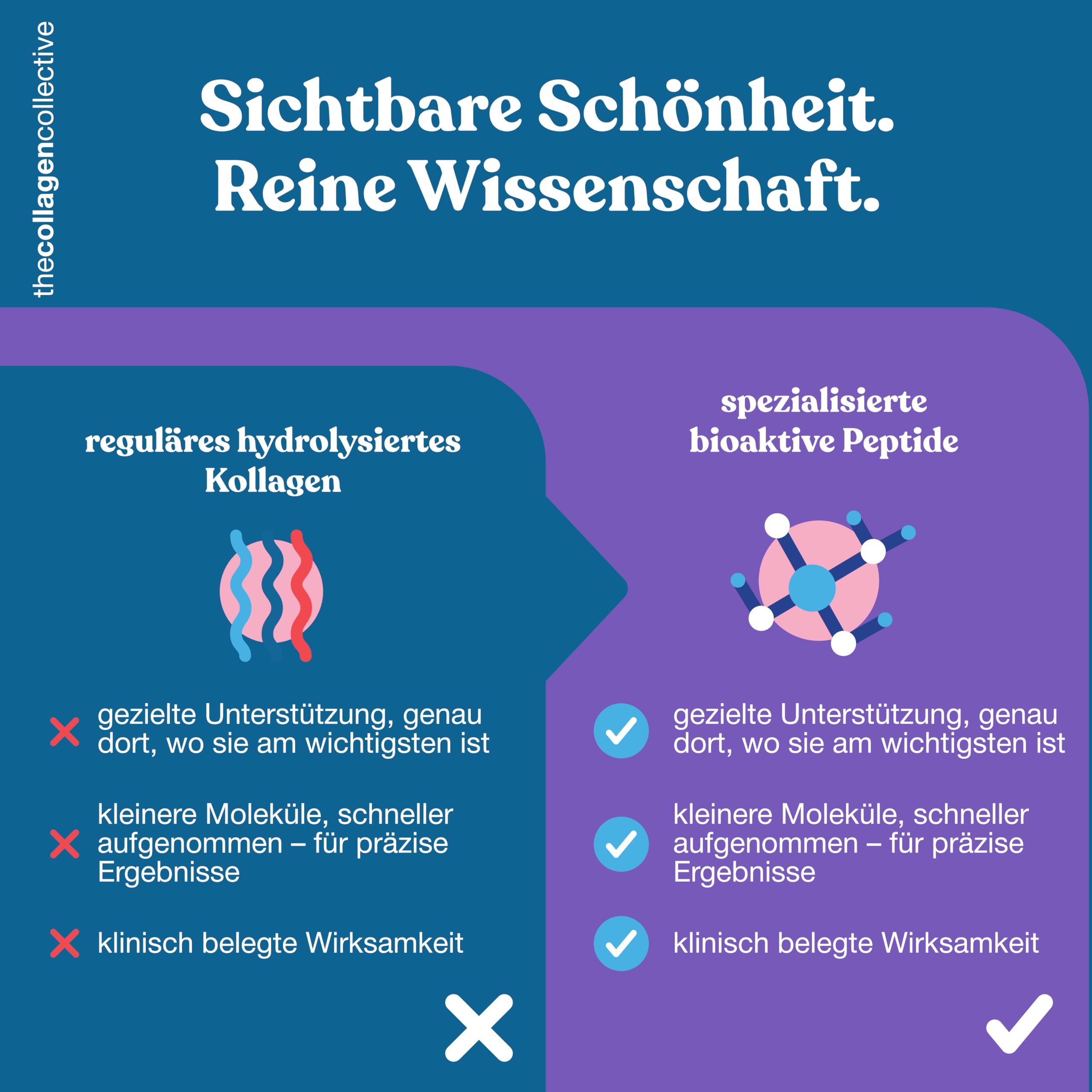 Beauty Kollagen Pulver - Hochdosiert Bioaktives Kollagen Peptide für Haut Haare Nägel Anti-Aging Inner Glow (900 g / 6 Monate)