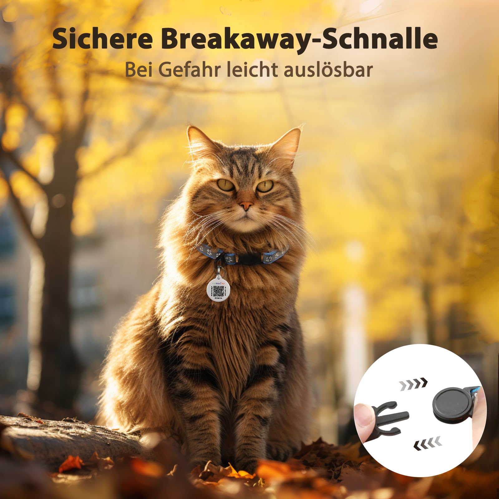 Katzenhalsband Mit Glöckchen & QR-Code – 6 Stück, Verstellbar, Reflektierend, Sicherheitsverschluss