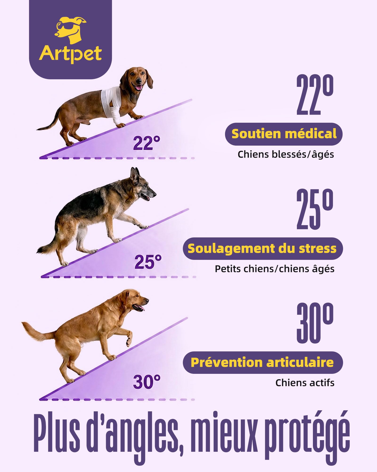 Rampe pour chien pour petits chiens pour canapé et lit, rampe pour le soin des articulations des Teckels, pliable, antidérapante, portable, hauteur réglable, supporte jusqu'à 15,9 kg