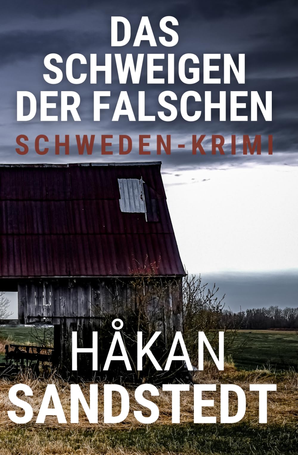 Das Schweigen der Falschen: Schwedenkrimi - Die Fälle des Ingmar Lundgren V