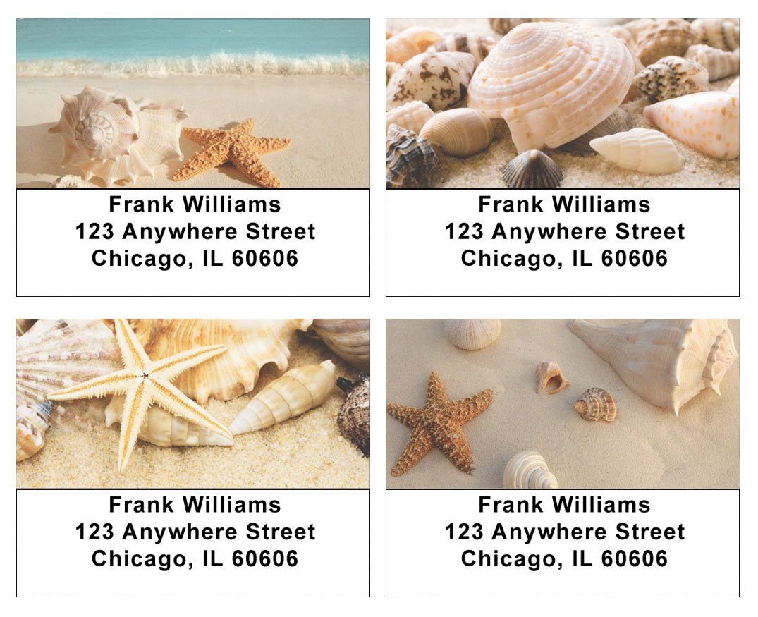 Seashells Address Labels