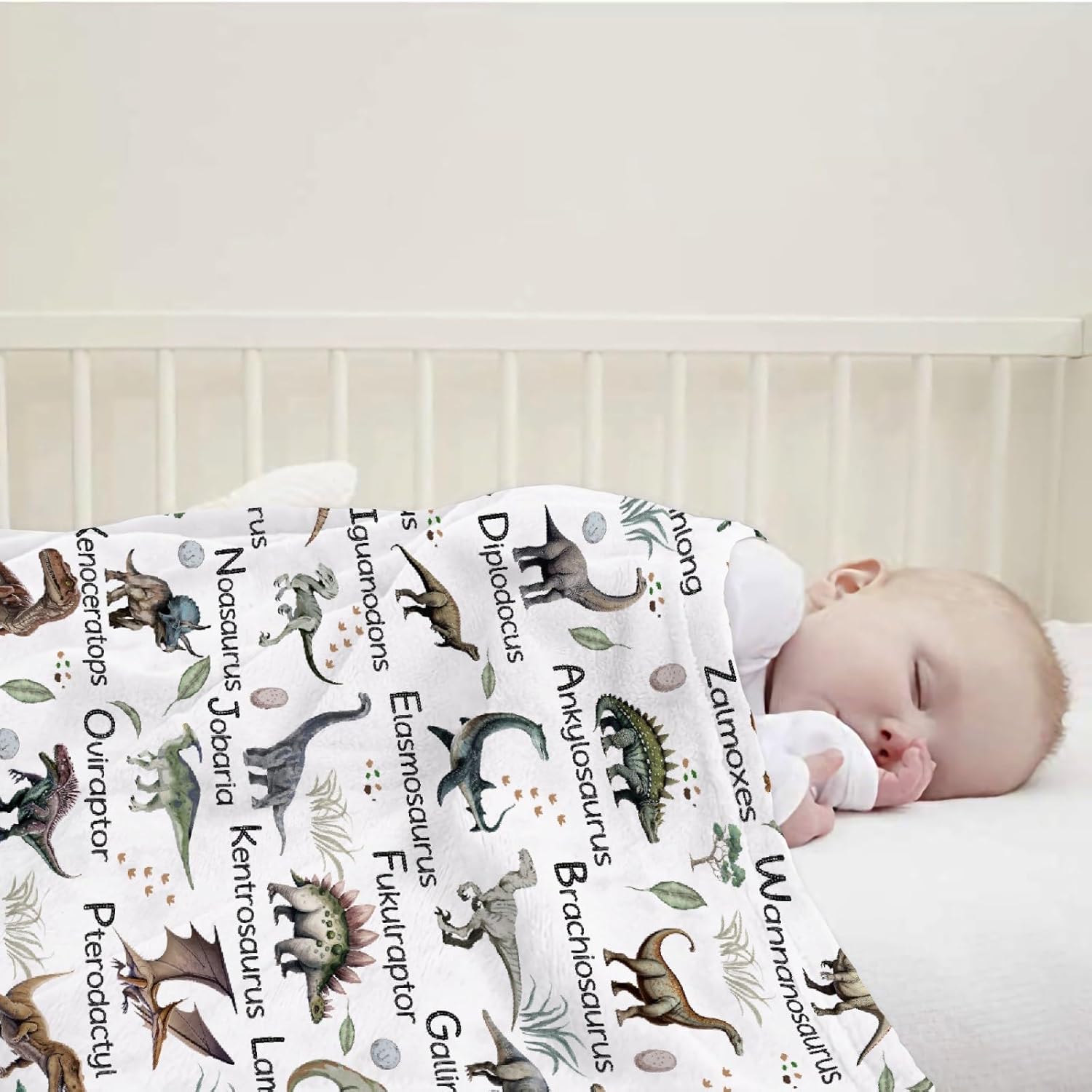 Dinosaur Blanket for Kids Boys Types of Dinosaurs Gifts for Toddler Dinosaur Lovers Super Soft Flannel Throw Blanket for Sofa Camping Travel Bed Home Dinosaur Room Decor,40"x50"for Kids/Baby - Image 3