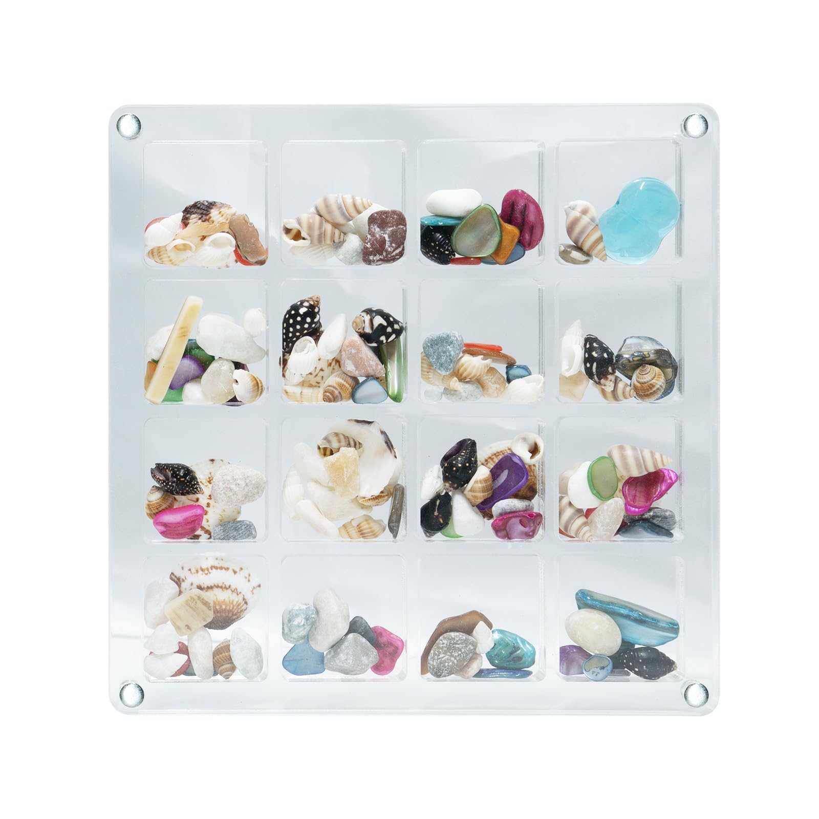 KYWYOYOU Acrylic Seashell Display Case, - 16 Grids Magnetic Seashell Display Box, Transparent Seashell Storage, Magnetic Clear Box for Organizing Seashells and Trinkets.