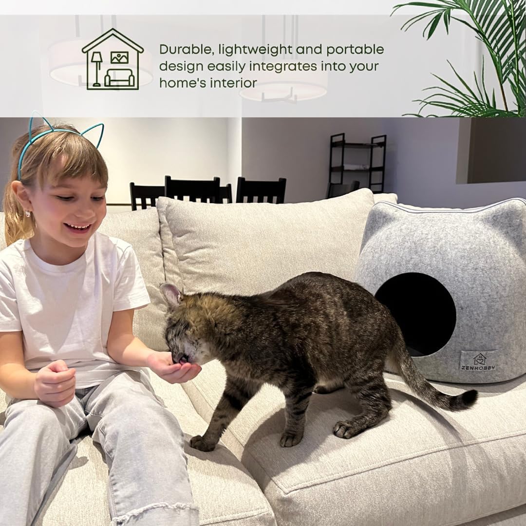 review Cat Beds for Indoor Cats, Cat House, Cat Hideaway, Cat Condo for Large Cats, Cat Treats Cat Toys Gift Inside, Cat Hideaway Cave in Light Grey