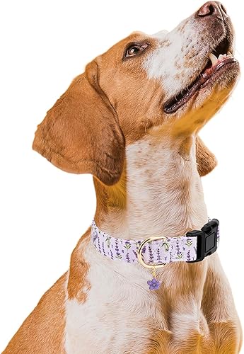 Miniatura 5 de Collares para perros personalizados, collares ajustables para cachorros con hebilla de seguridad para perros pequeños, medianos y grandes, bonito y