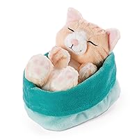 NICI Plüschtier Peluche Gatto Marrone Sleeping Kitties in Cestino Blu e Verde 16cm