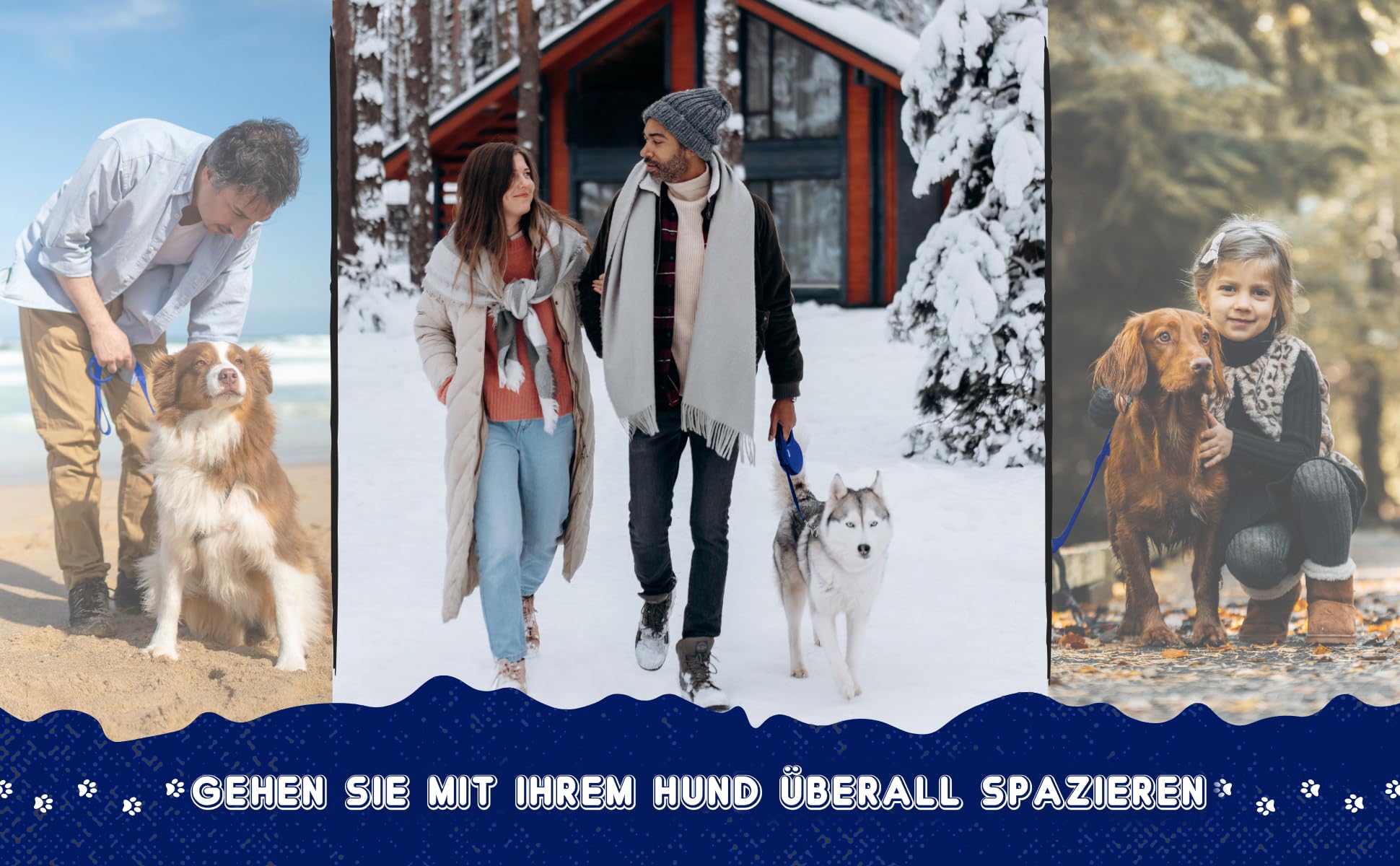 Laisse pour chiens de petite, moyenne et grande taille pour le ski de fond, imperméable, légère (bleu, 30 m)