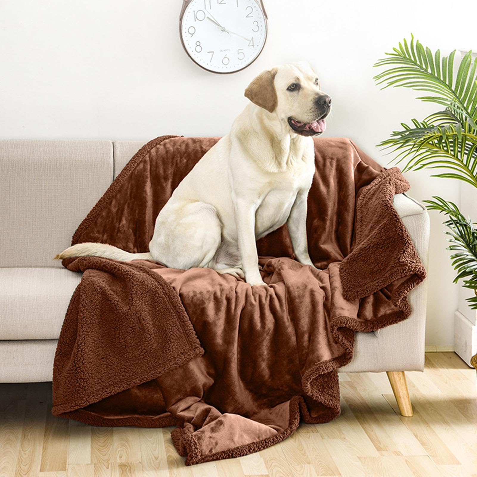 SOYDAN Couvertures pour Chien, Couverture sur Le thème des Animaux de Compagnie, Couverture sûre avec imprimé Chiot, Couverture Polaire Confortable pour Chien, couvertures imperméables pour Chat