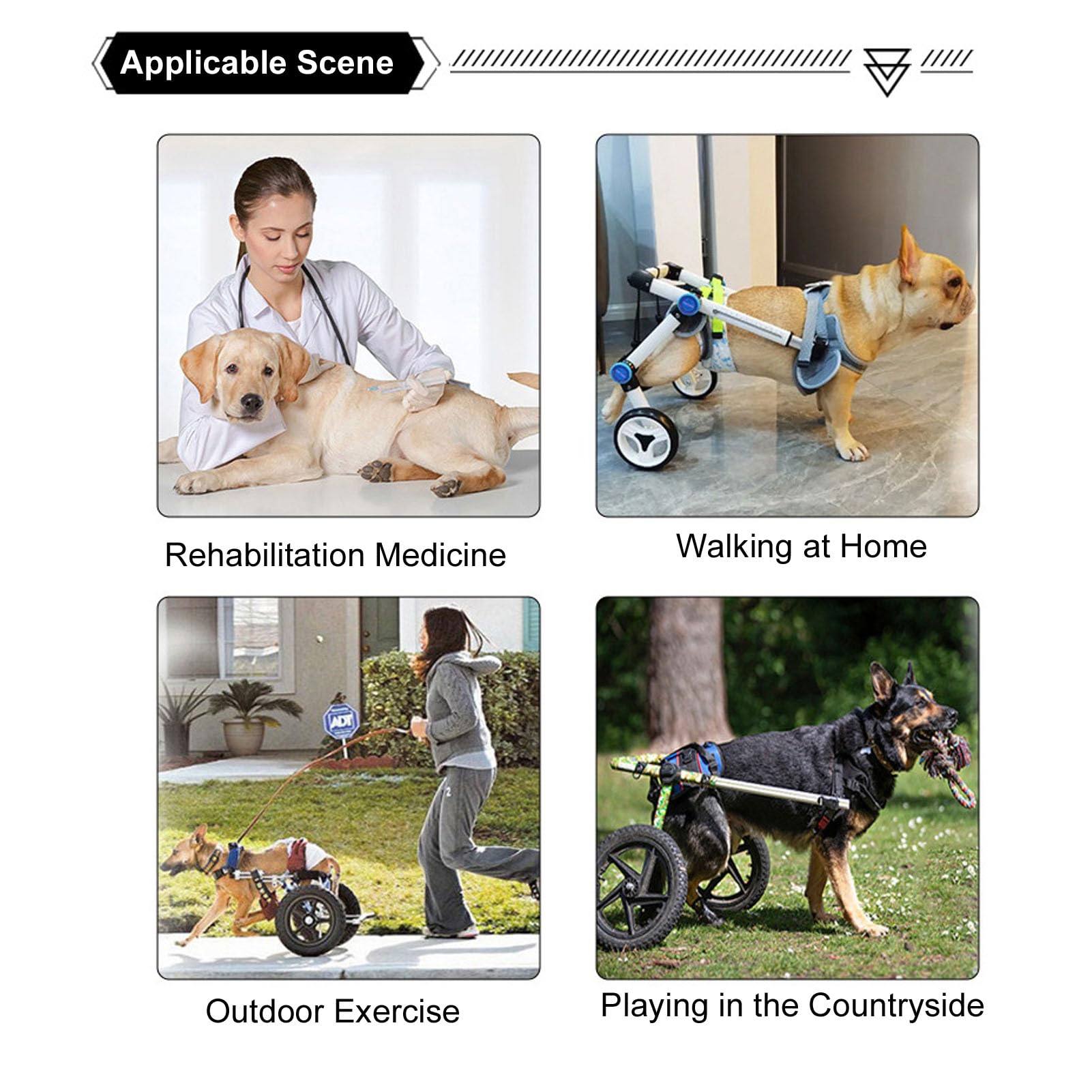 Denash Carrello di Supporto per la Gamba Posteriore del Cane, Telaio Regolabile a 4 Ruote con Imbracatura in Rete Traspirante per Ausili Alla mobilità di Animali Domestici Disabili,