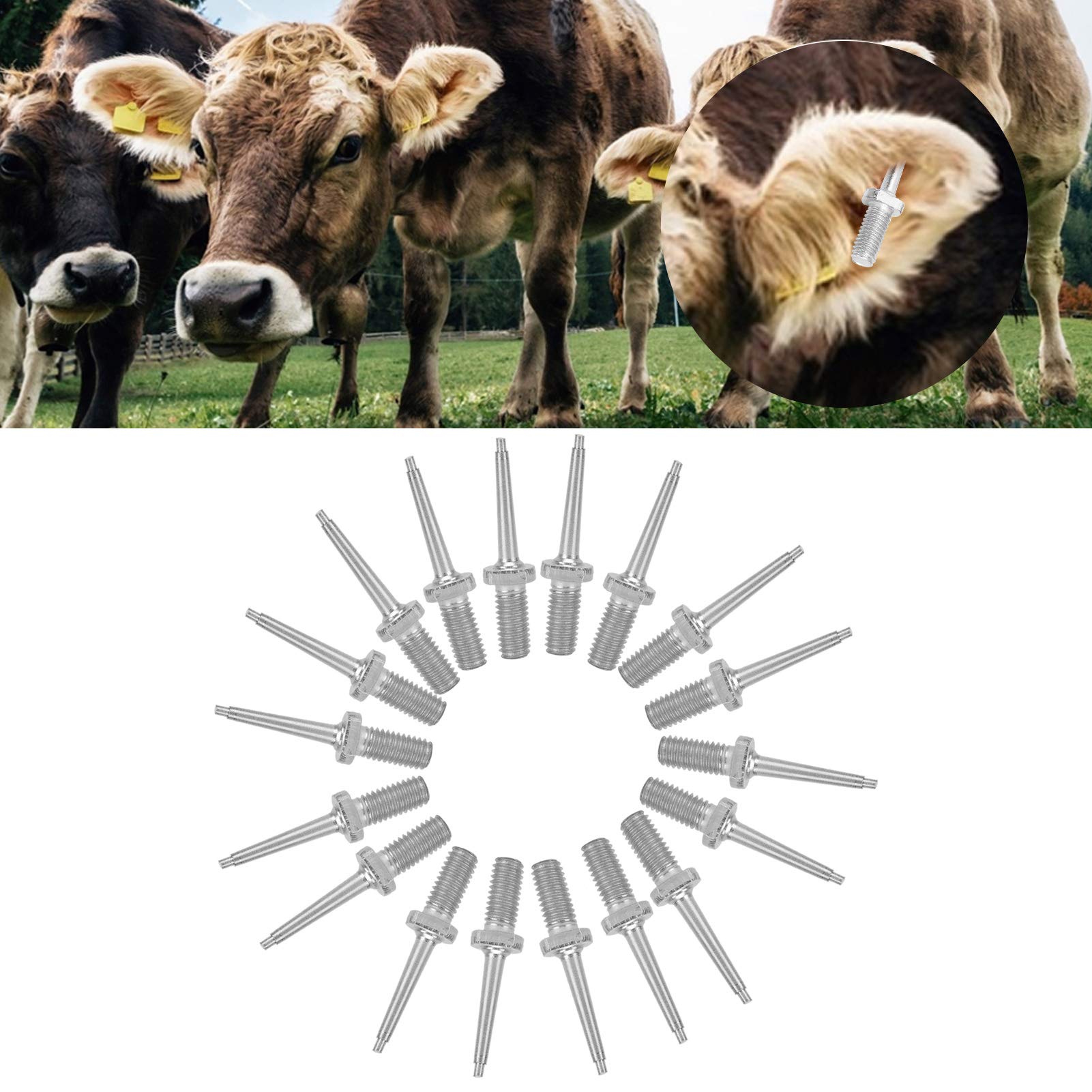 Voluxe Pin di Ricambio per pinze per Marchi Auricolari Animali, Perno per Marchio Auricolare per Bestiame, Perno per suini bovini Ovini per bovini(Stainless Steel Ear Tag Needle)