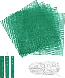 MECCANIXITY Beeswax Candle Making Kit,8x8 Inch 5pcs Green Beeswax Candle Sheets with 1pcs Cotton Wick for DIY Craft Gift Making