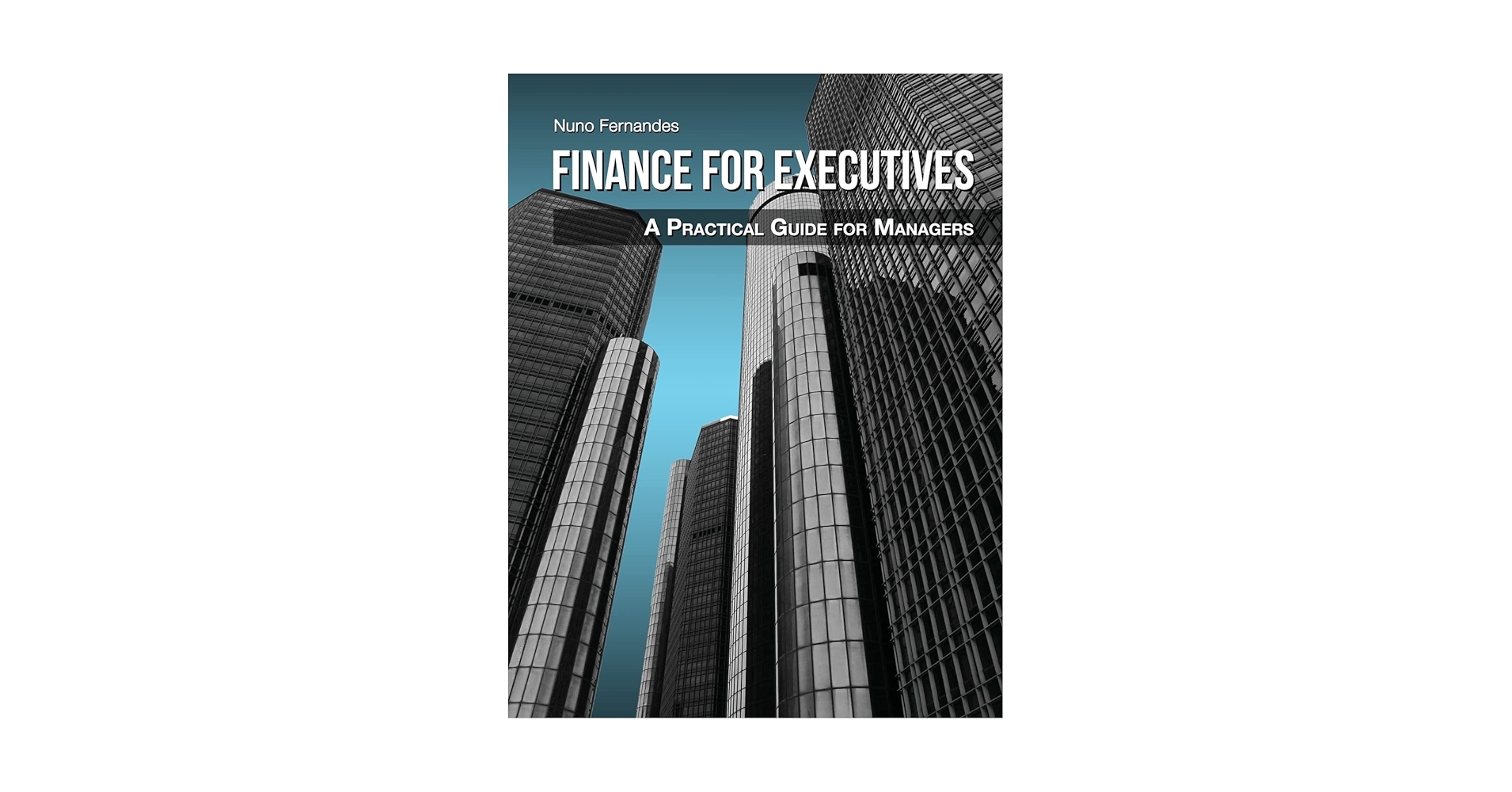 ビジネス・経済 FINANCE FOR EXECUTIVES 4th Edition Finance for Executives: A Practical Guide for Managers