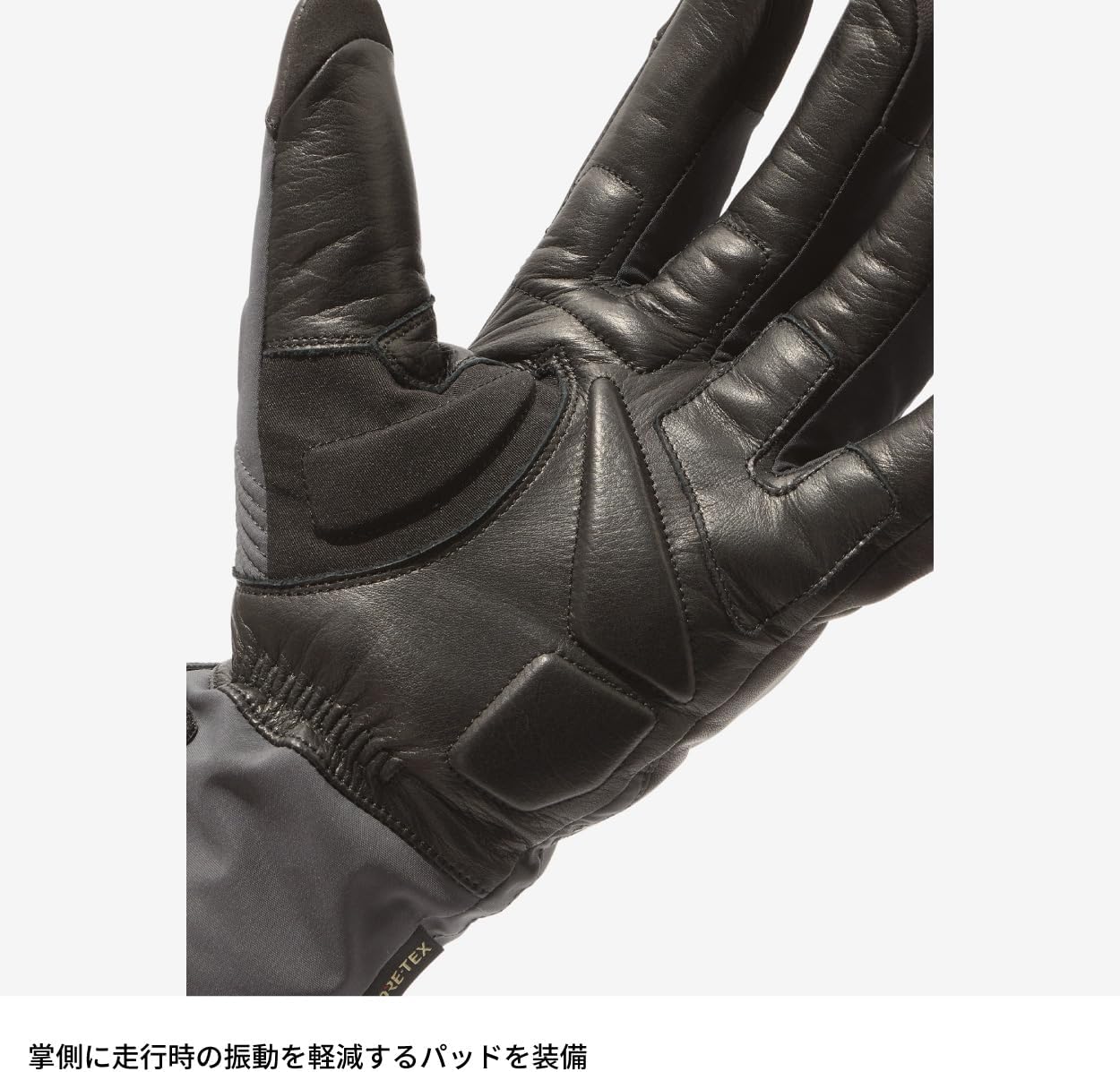 Goldwin(ゴールドウイン) グローブ ゴアテックス シーイー