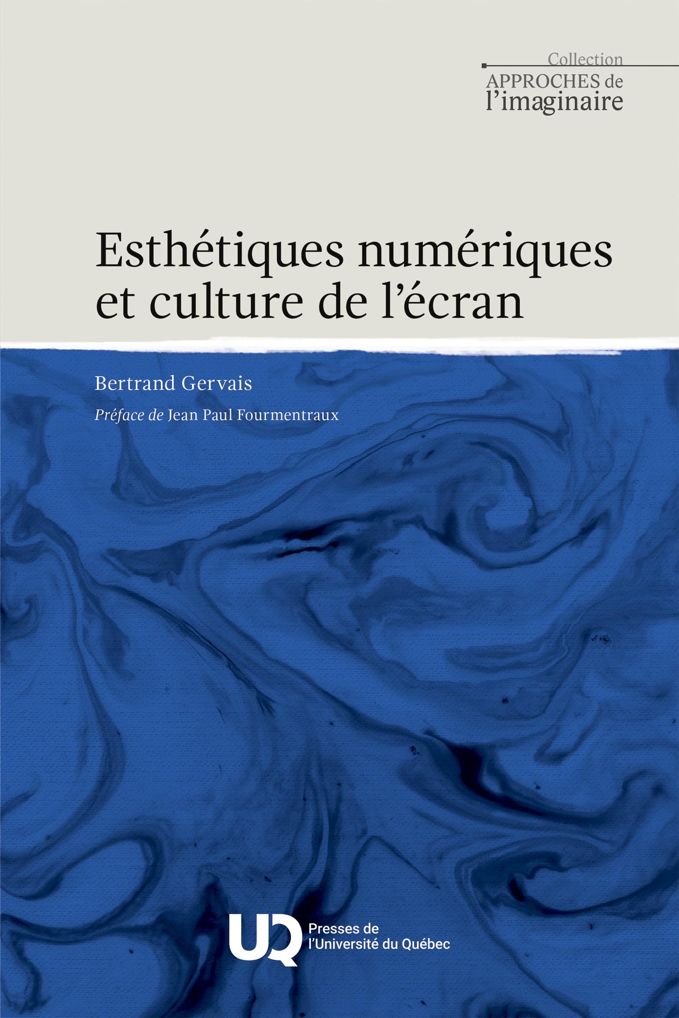 Esthétiques numériques et culture de l'écran livre universitaire sur l'art visuel contemporain