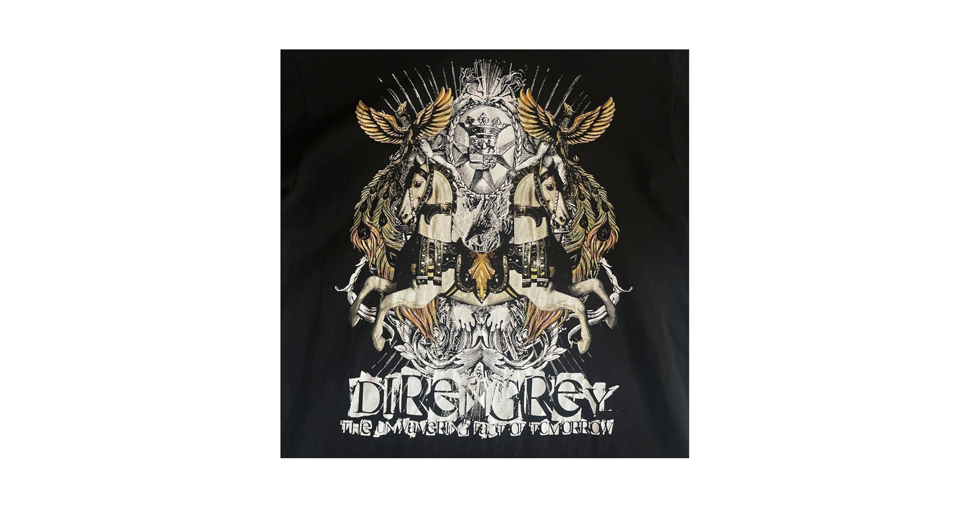 f*a様 DIR EN GREY ツアーT Amazon.co.jp: DIR EN GREY Tシャツ 北米ツアー 半袖 Mサイズ