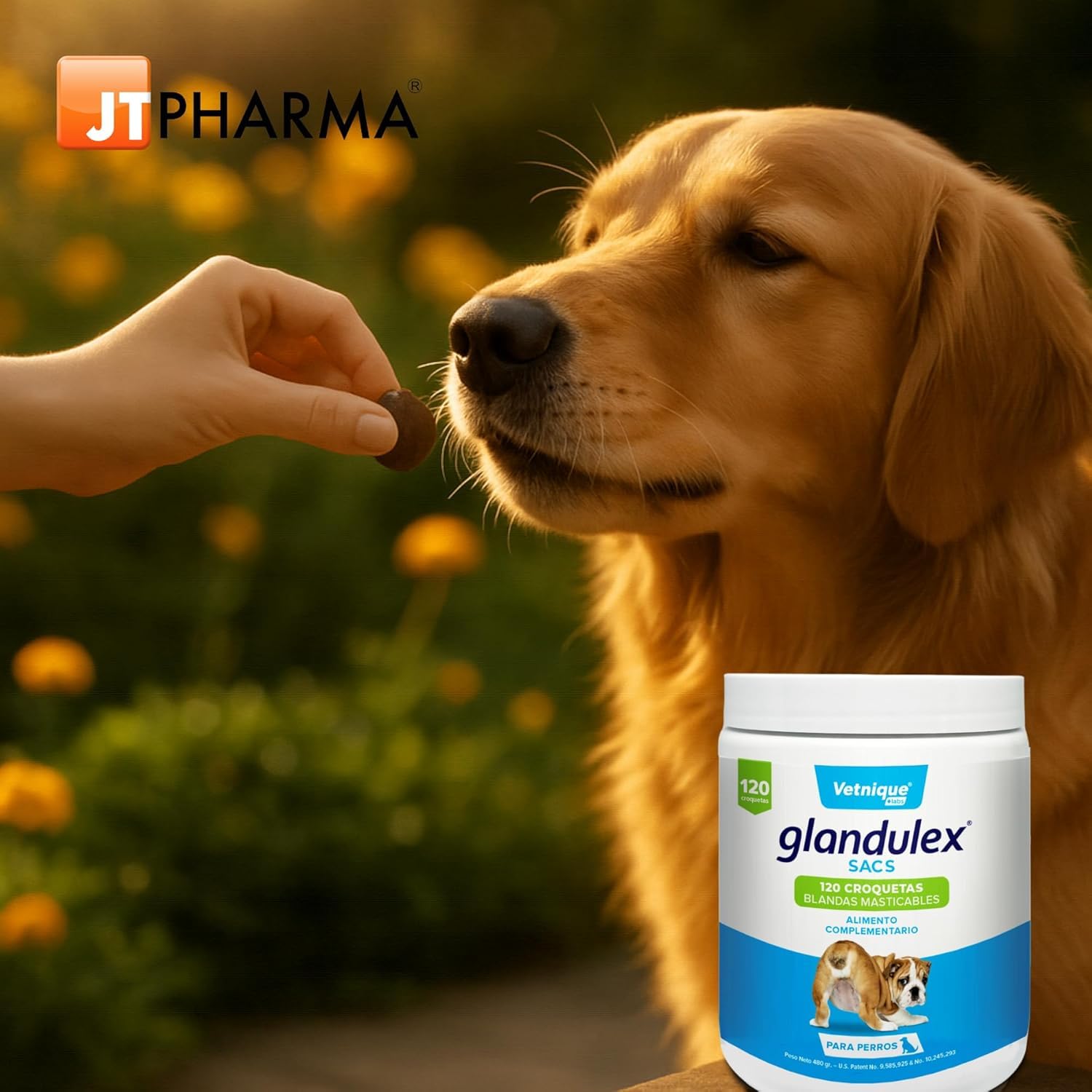 JTPHARMA Glandulex Sacs - 120 Croquetas