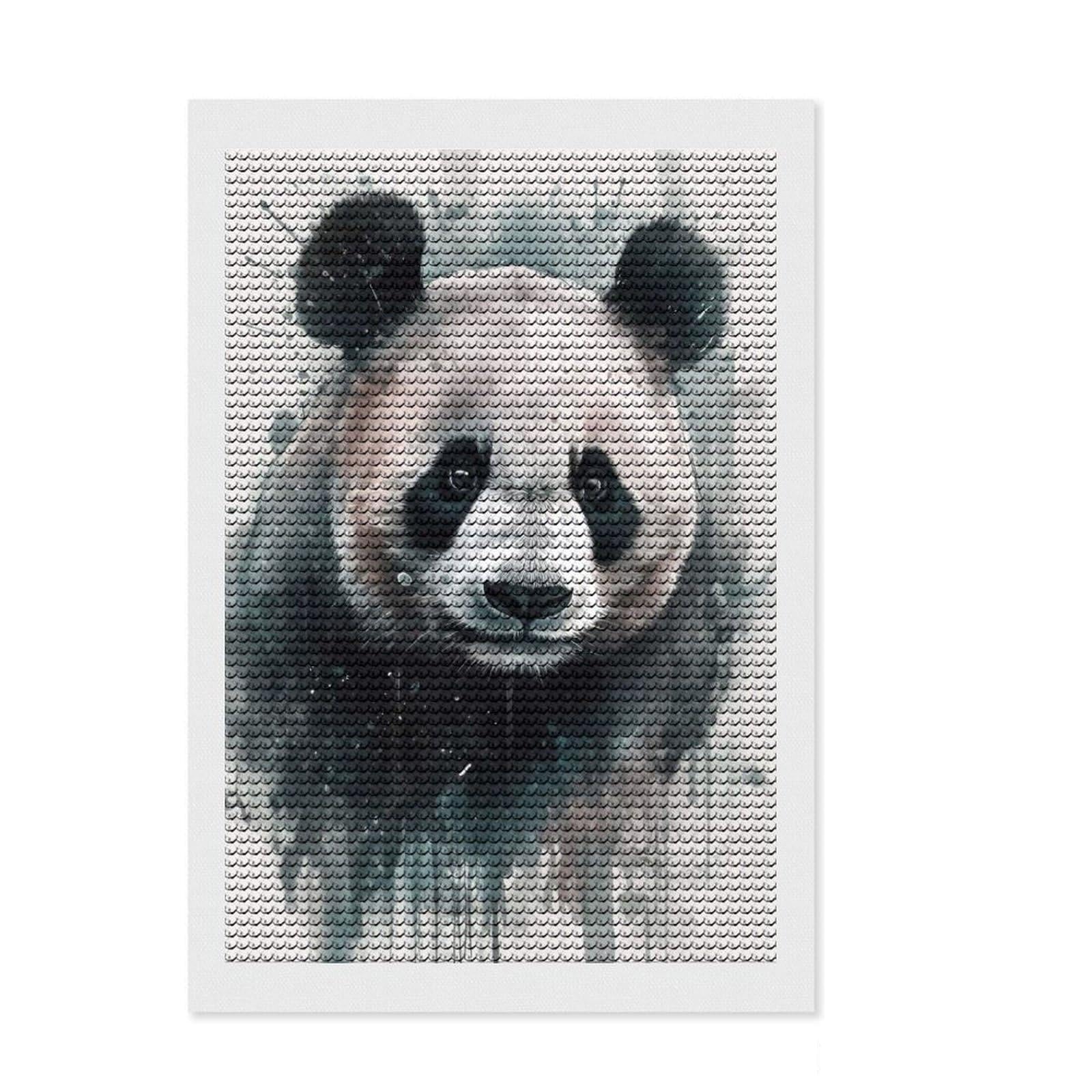 Junmoney Panda Beauty Watercolor Diamond Art Canvas 8"x12", for Women, Bedroom Decor, Pleasing Wall Art Project, Birthday Gift, Simple to Start