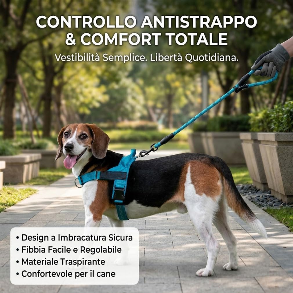 Veltrio Pettorina Cane Antitiro Regolabile, Set Complet 5-in-1 con Guinzaglio Elastico e Collare Catarifrangente, Pettorina Antitrazione per Cani Medi e Piccoli (Magenta,M)